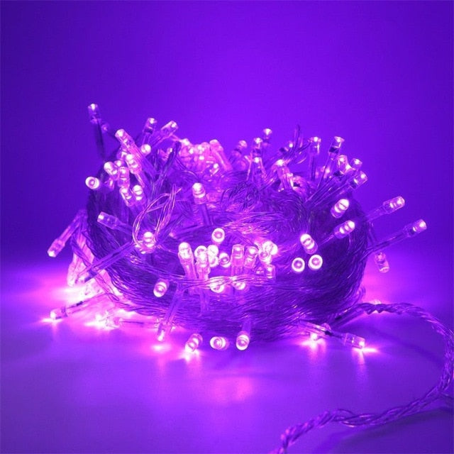 LED Christmas Light Fairy String Garland Plug In 30M 50M 100M