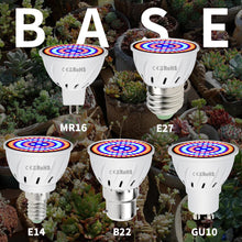Load image into Gallery viewer, Phyto Led B22 Hydroponic Growth Light E27 Led Grow Bulb MR16 Full Spectrum 220V UV Lamp Plant E14 Flower Seedling Fitolamp GU10